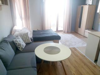 Saint Ivan Ski Apartments - 9