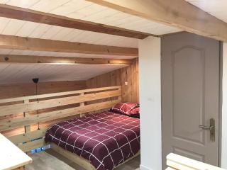 appartement ski au pied - Les Deux Alpes - 6