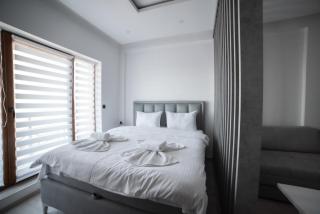 NLux 10 Apartment - Kopaonik - 7