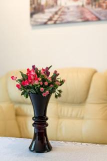Big Cosy RETRO Apt, FREE PARKING, 15min OldTown & Kazimierz - by Homelike Krakow - Krakow - 8