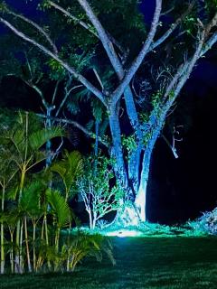 Villa Talanquera - Las Galeras - 9