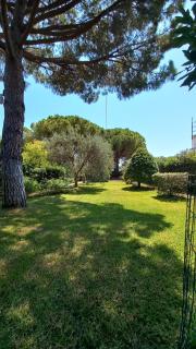 casaisoladelba - Lacona - 9