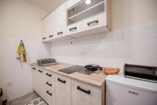 Botanical Apartment - Kolašin - 4