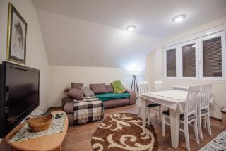 Botanical Apartment - Kolašin - 1