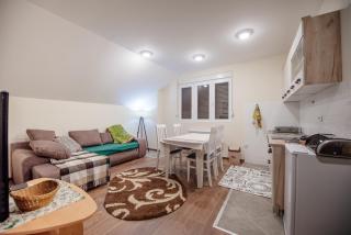 Botanical Apartment - Kolašin - 9