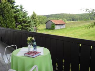Gasthof-Pension-Kraus - Achslach - 1
