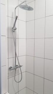 Les Cygnes Noirs - 6