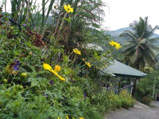 Jayathmaguest - Peradeniya - 2