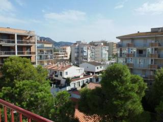 Apartamento luminoso con vista al mar, balcón, aparcamiento, aire acondicionado y cocina equipada en Roses - ES-204-10 - 8