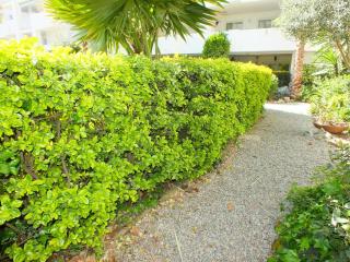 Apartamento en planta baja con piscina comunitaria en Roses, cerca de playas y actividades - ES-204-47 - 9