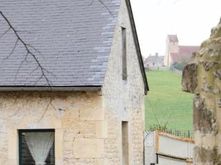 Maison en pierres avec Grand Jardin, WIFI, tout inclus - FR-1-497-170 - Neuvy-au-Houlme - 7
