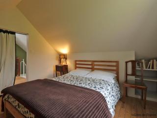 Maison en pierres avec Grand Jardin, WIFI, tout inclus - FR-1-497-170 - Neuvy-au-Houlme - 3