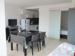 Encantador apartamento de 1 habitación con piscina y jardín en Roses Santa-Margarita - ES-204-24 - 6