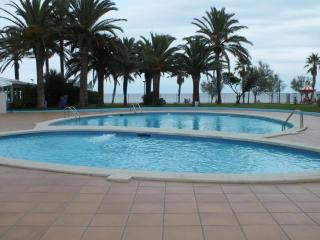 Apartamento para 4 con terraza y piscina a 50m de la playa - ES-204-28 - Roses - 0