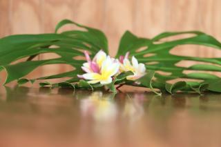 Hostal Avareipua - 1