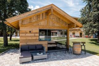 Ferienparadies Taxen - Sankt Veit im Pongau - 8