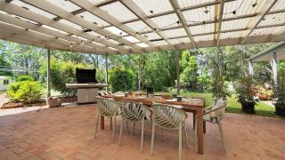 Banksia - West Cambewarra - 2