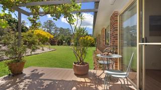 Banksia - West Cambewarra - 1