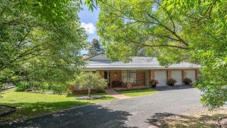 Banksia - West Cambewarra - 3