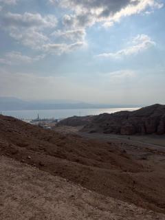 ניב ברוזמרין - Eilat - 9