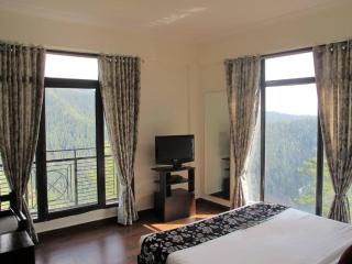 Tethys Himalaya Narkanda - 6