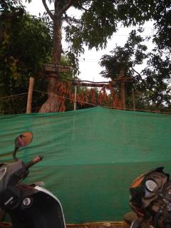 Bindhya Huts - Gokarna - 4