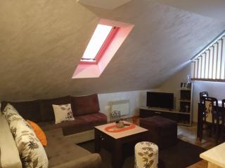 Apartman Voja - Zlatibor - 1