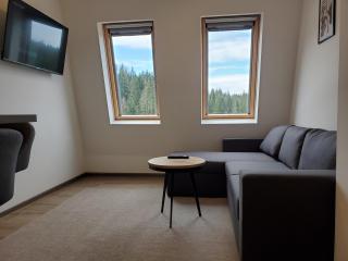 Apartman Green - Ravna planina - Pale - 1