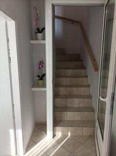 Katera - Belgrado - 5