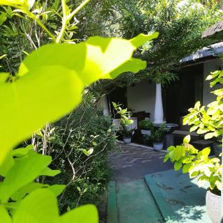 Susee Villa - Bentota - 3