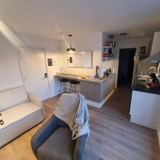EXCLUSIVO PENTHOUSE EN CORDON SOHO CON DISNEY PLUS y PARKING INCLUIDOS - Montevideo - 4