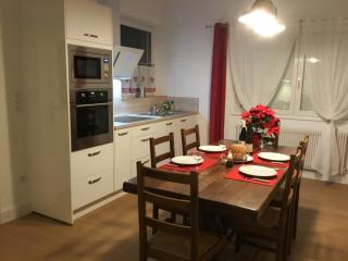 gîte le carthame - Elsenheim - 7