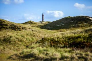 Villa Nordland N-Vogel 10 - Norderney - 5
