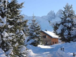 Chalet moderne 4*, terrasse sud, sauna, accès plan d'eau et pistes. Linge inclus. - FR-1-618-2 - Albiez-Montrond - 0