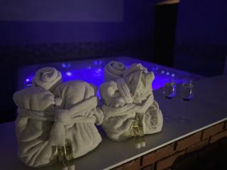 Un moment hors du temps - Jacuzzi - Sauna - Billard - Parking - 167 - Rouen - 5