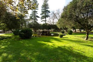 Boutique Rentals- SEA Breeze Apt - 4