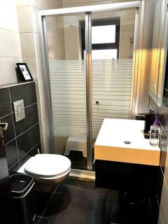 Cozy 2 BR apartment, with pool and big yard - 5