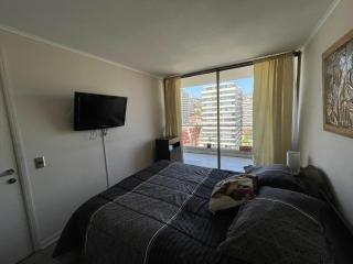 Comodo departamento en el centro de Viña - 3