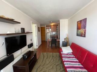 Comodo departamento en el centro de Viña - 8