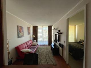 Comodo departamento en el centro de Viña - 4