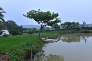 MARGOSA MOUNTAIN VILLA - Galewela - 8