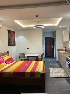 Park D-plus Apartments Cantonments - Accra - 2
