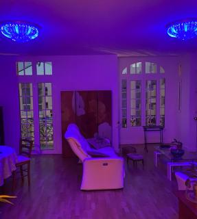 Monaco border villa Maria - Beausoleil - 8