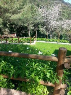 Appartamento Giacomo - 2