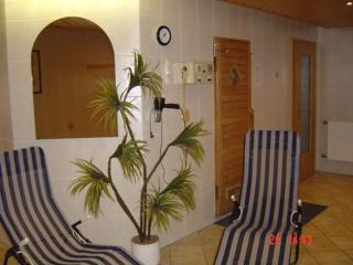 Gaststätte & Pension Alte Mühle - Dorfchemnitz - 8