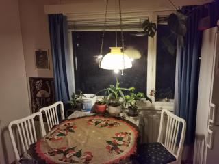 Old Cozy Wood House - 2