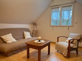 Chambre D'hôtes Francine et Gérard - Le Mans - 3