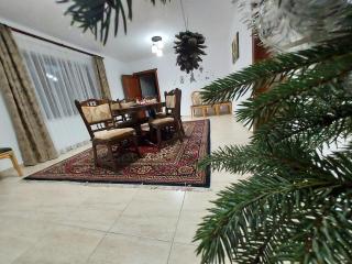 Casa Elena - Ceahlău - 2