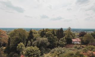 Hotel Bismarckhöhe - Tecklenburg - 8