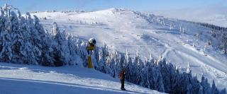 Nest studio Milmari Kopaonik - 4